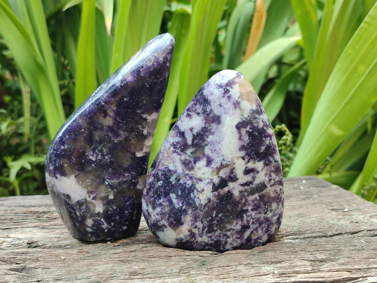 Polished Lepidolite Free Forms x 6 From Zimbabwe