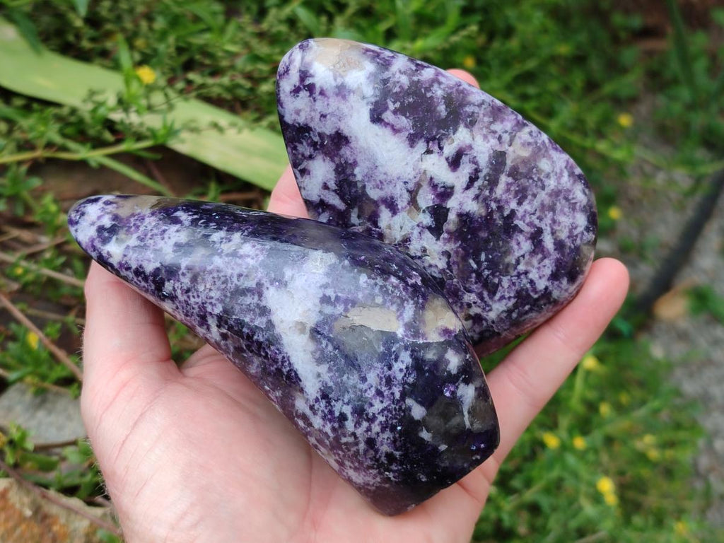 Polished Lepidolite Free Forms x 6 From Zimbabwe