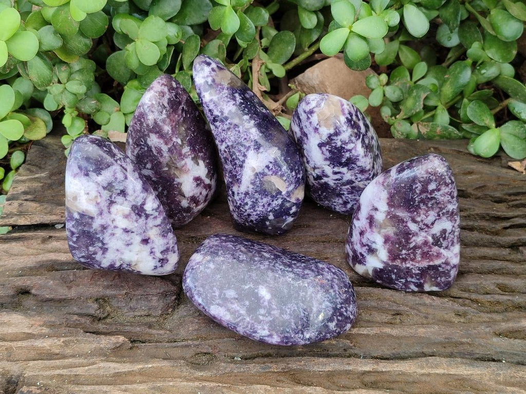 Polished Lepidolite Free Forms x 6 From Zimbabwe