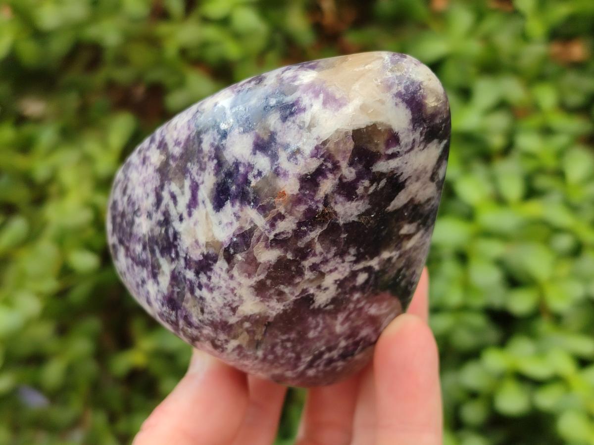 Polished Lepidolite Free Forms x 6 From Zimbabwe