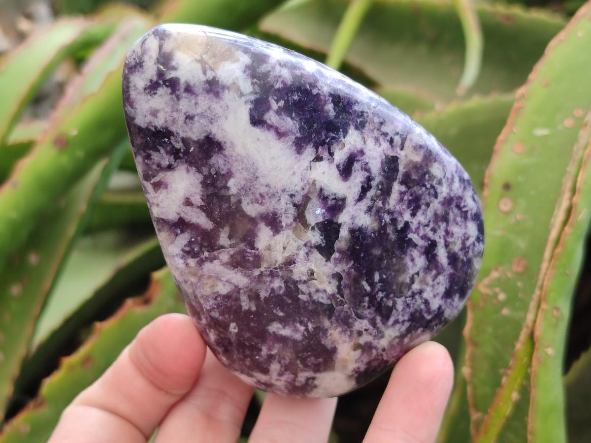 Polished Lepidolite Free Forms x 6 From Zimbabwe