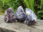 Polished Lepidolite Free Forms x 6 From Zimbabwe
