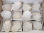 Natural Castle Quartz Crystals x 12 From Madagascar