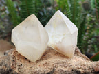 Natural Castle Quartz Crystals x 12 From Madagascar