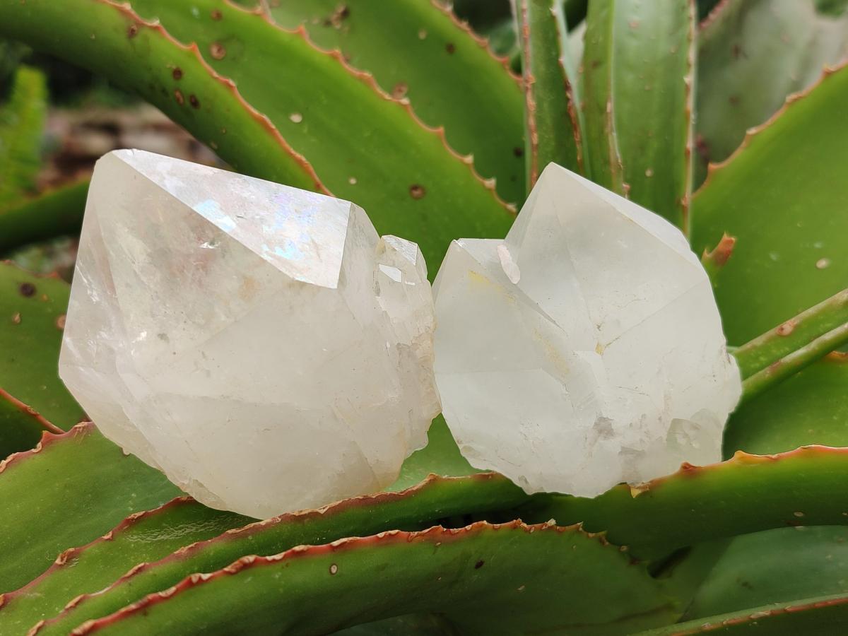 Natural Castle Quartz Crystals x 12 From Madagascar