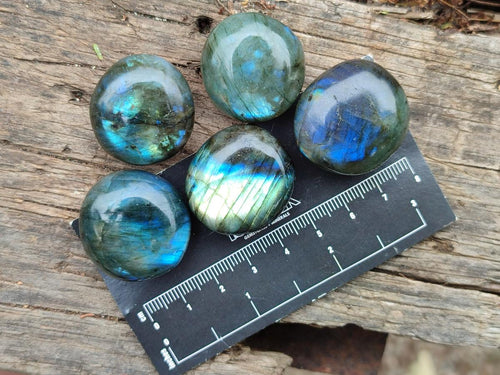 Polished Mini Rounded Labradorite Free Forms x 80 From Madagascar