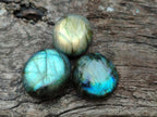 Polished Mini Rounded Labradorite Free Forms x 80 From Madagascar