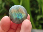 Polished Mini Rounded Labradorite Free Forms x 80 From Madagascar
