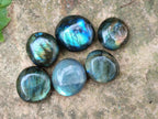Polished Mini Rounded Labradorite Free Forms x 80 From Madagascar