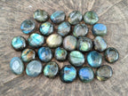 Polished Mini Rounded Labradorite Free Forms x 80 From Madagascar