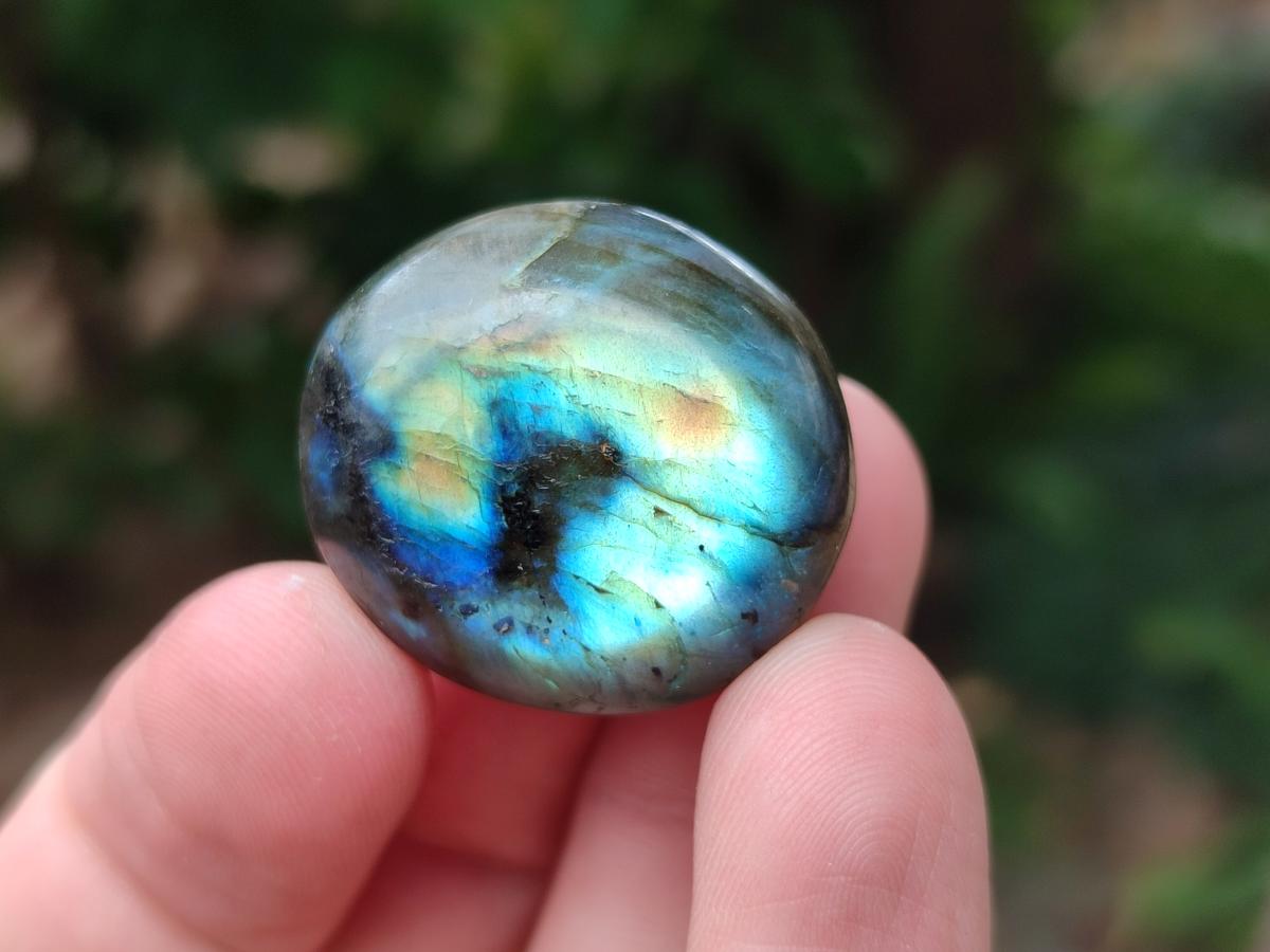 Polished Mini Rounded Labradorite Free Forms x 80 From Madagascar