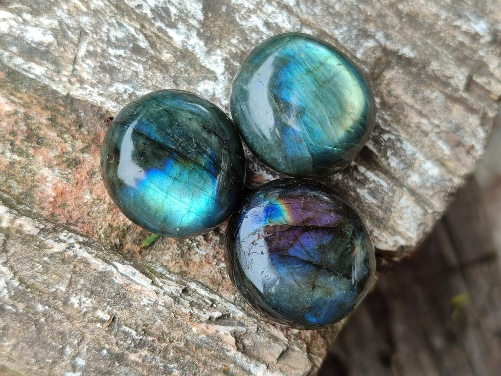 Polished Mini Rounded Labradorite Free Forms x 80 From Madagascar