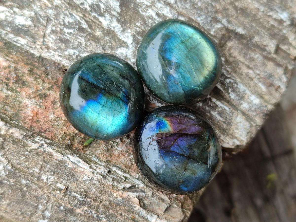Polished Mini Rounded Labradorite Free Forms x 80 From Madagascar