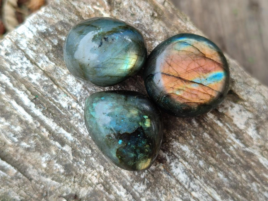 Polished Mini Rounded Labradorite Free Forms x 80 From Madagascar
