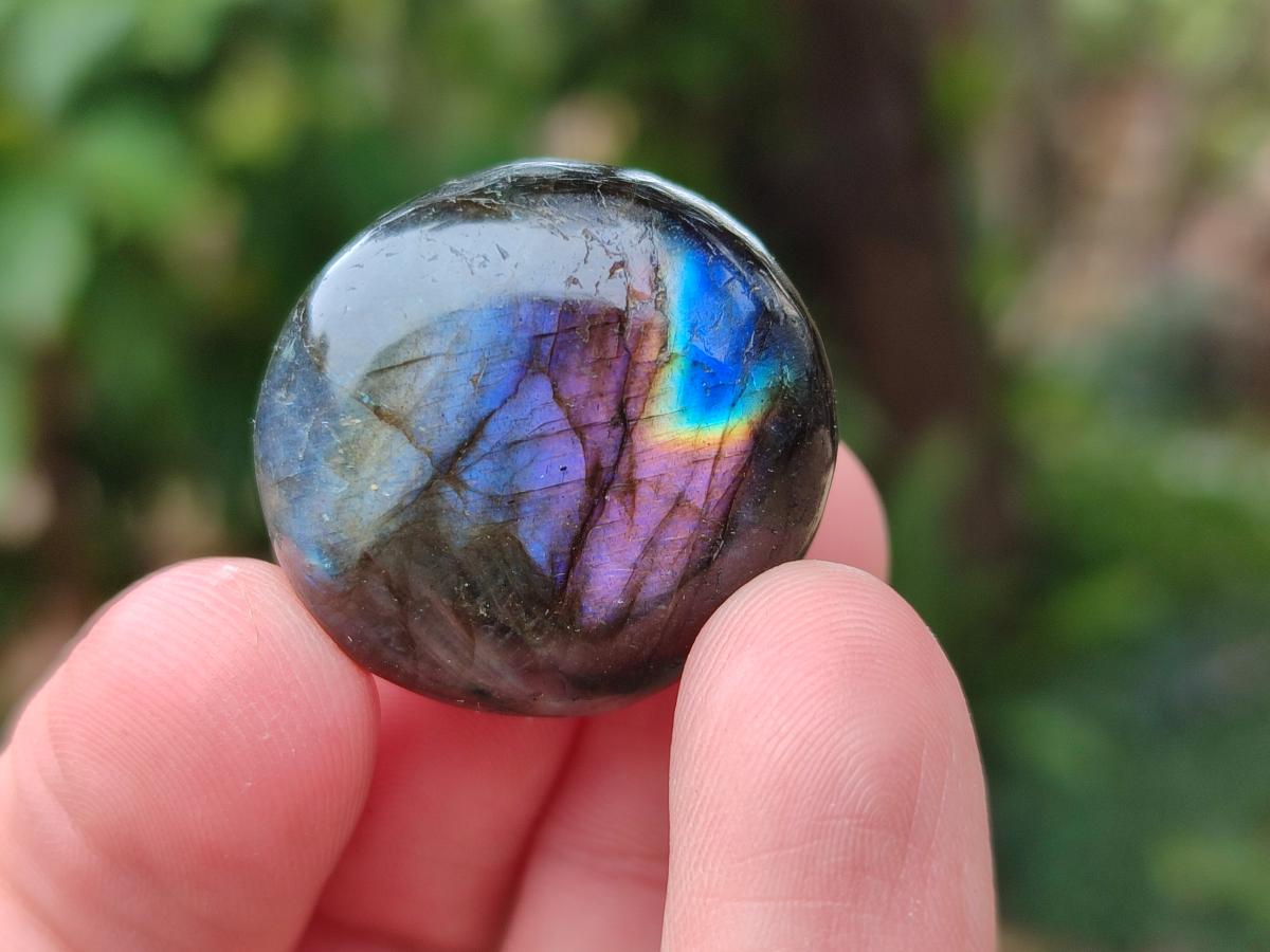Polished Mini Rounded Labradorite Free Forms x 80 From Madagascar