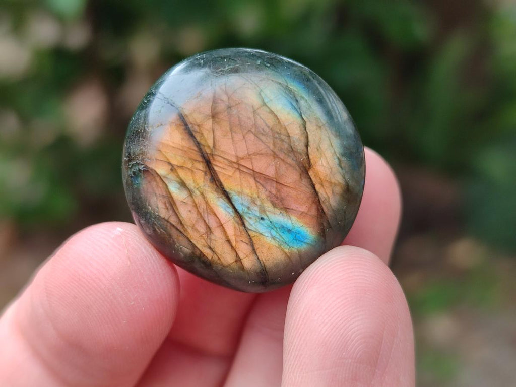 Polished Mini Rounded Labradorite Free Forms x 80 From Madagascar