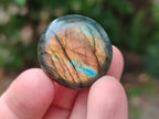 Polished Mini Rounded Labradorite Free Forms x 80 From Madagascar