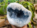 Natural Blue Celestite Geode Specimen x 1 From Sakoany, Madagascar