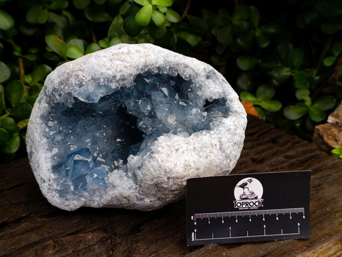 Natural Blue Celestite Geode Specimen x 1 From Sakoany, Madagascar