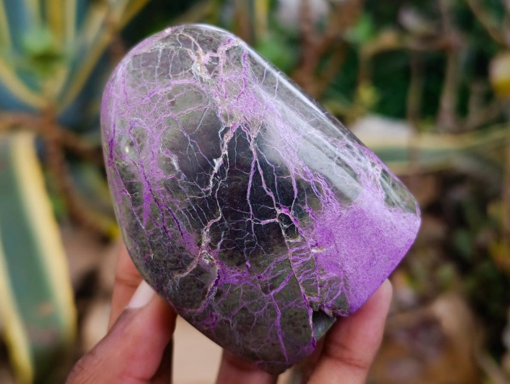 Polished Stichtite Standing Free Forms x 4 From Barberton, South Africa