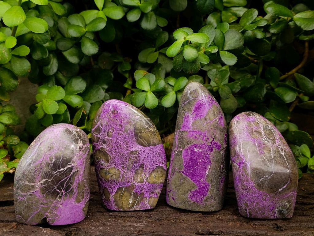 Polished Stichtite Standing Free Forms x 4 From Barberton, South Africa