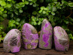 Polished Stichtite Standing Free Forms x 4 From Barberton, South Africa