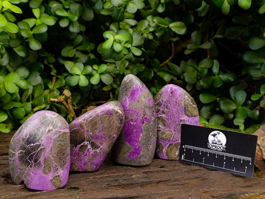 Polished Stichtite Standing Free Forms x 4 From Barberton, South Africa