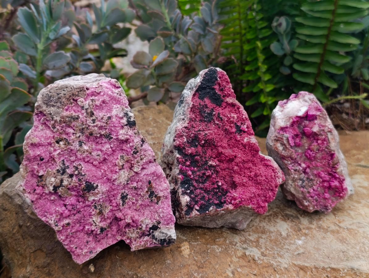 Natural Salrose Cobaltion Dolomite Specimens x 3 From Kakanda, Congo