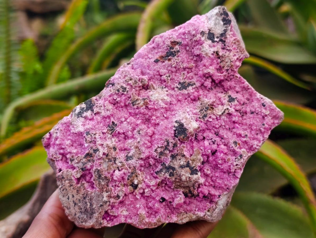 Natural Salrose Cobaltion Dolomite Specimens x 3 From Kakanda, Congo
