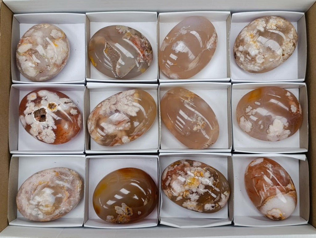 Polished Flower Agate Palm Stones x 12 From Antsahalova, Madagascar
