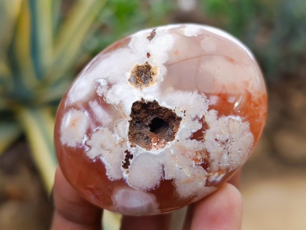 Polished Flower Agate Palm Stones x 12 From Antsahalova, Madagascar