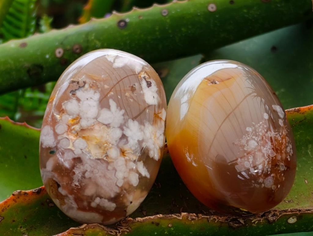 Polished Flower Agate Palm Stones x 12 From Antsahalova, Madagascar
