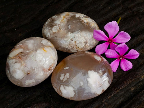 Polished Flower Agate Palm Stones x 12 From Antsahalova, Madagascar