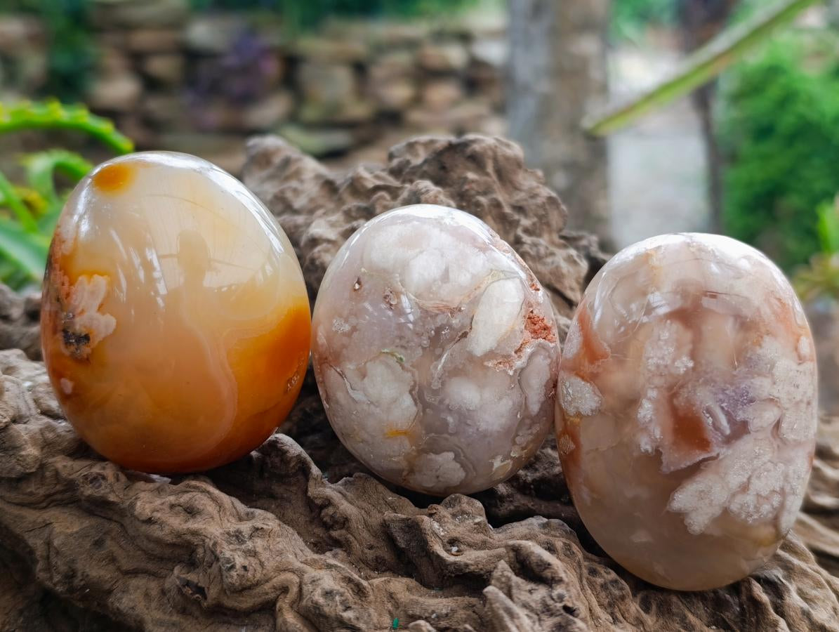 Polished Flower Agate Palm Stones x 12 From Antsahalova, Madagascar