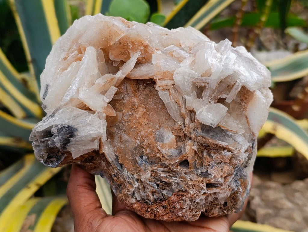 Natural Large Rare Bladed Barite Cabinet Specimen x 1 From Tenke Fungurume Mine, Congo