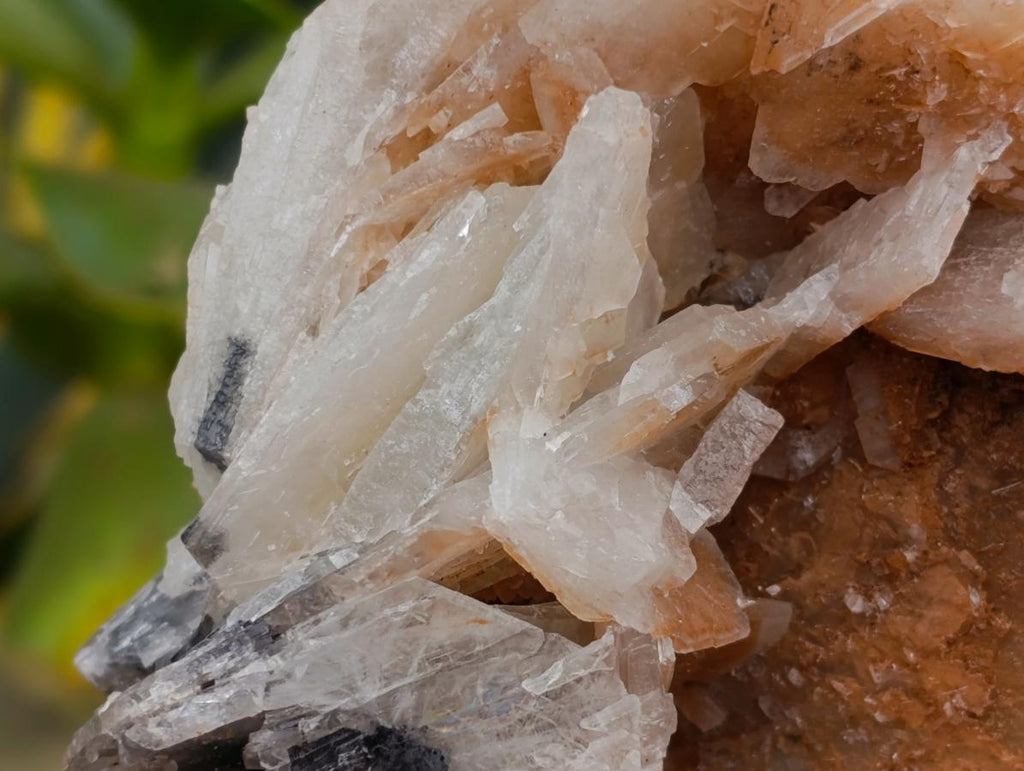 Natural Large Rare Bladed Barite Cabinet Specimen x 1 From Tenke Fungurume Mine, Congo