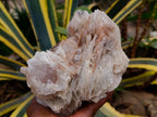 Natural Large Rare Bladed Barite Cabinet Specimen x 1 From Tenke Fungurume Mine, Congo