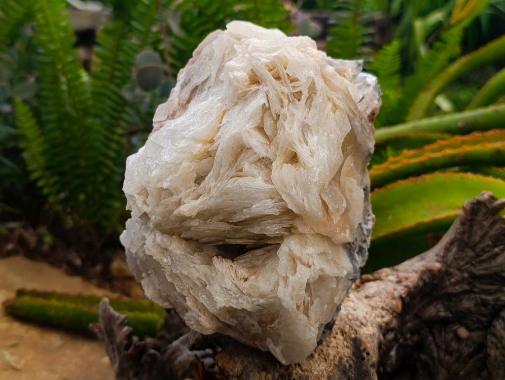 Natural Large Rare Bladed Barite Cabinet Specimen x 1 From Tenke Fungurume Mine, Congo