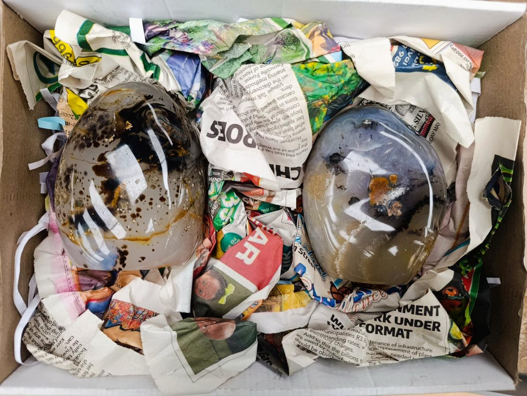 Polished Dendritic Agate Standing Free Forms x 2 From Moralambo, Madagascar