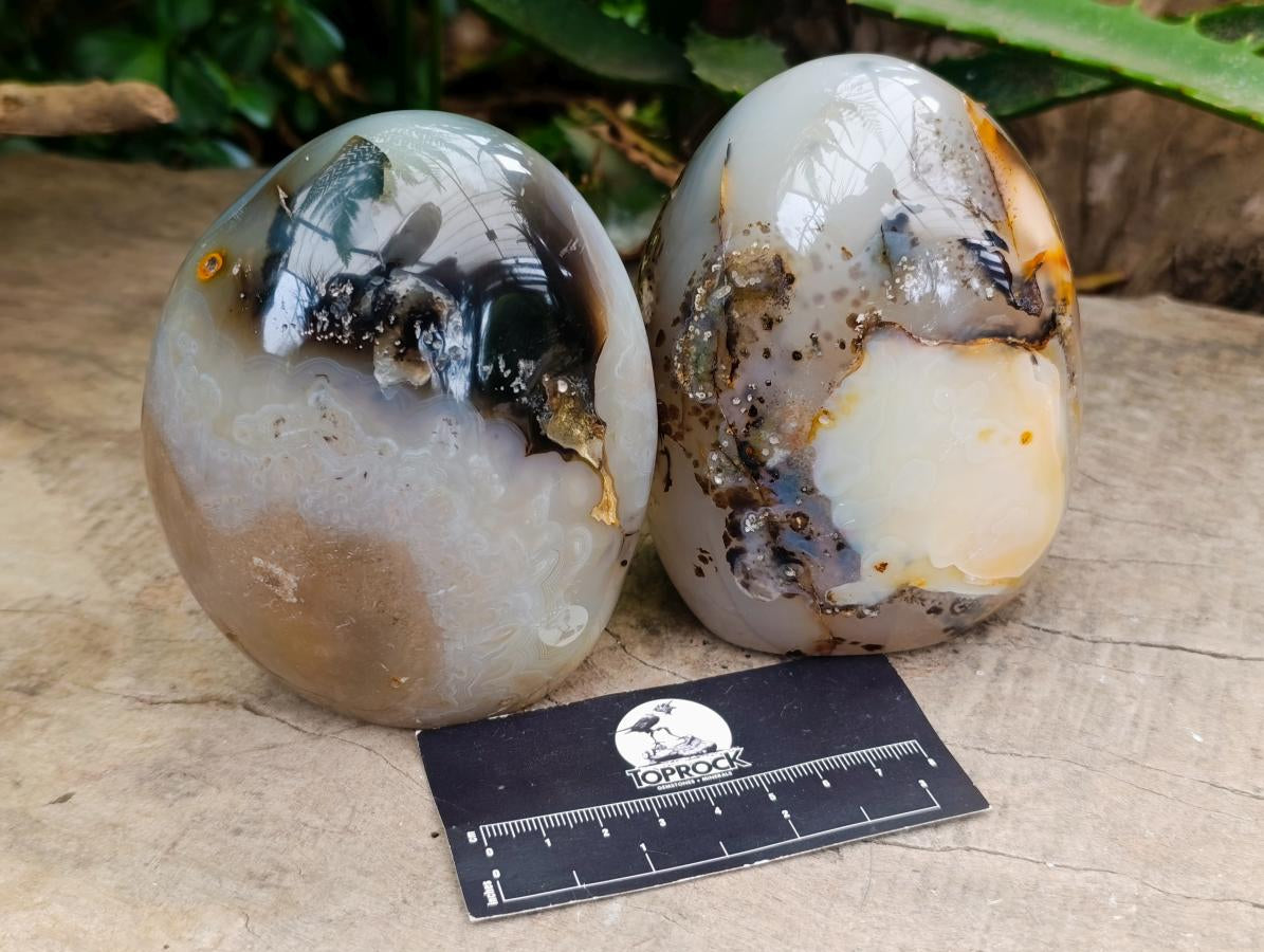 Polished Dendritic Agate Standing Free Forms x 2 From Moralambo, Madagascar