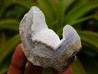 Natural Blue Lace Agate Geode Specimens x 12 From Nsanje, Malawi