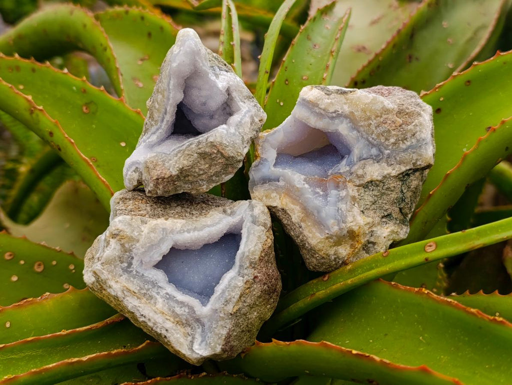 Natural Blue Lace Agate Geode Specimens x 12 From Nsanje, Malawi