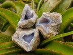 Natural Blue Lace Agate Geode Specimens x 12 From Nsanje, Malawi
