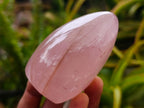 Polished Gemmy Rose Quartz Standing Free Forms x 7 From Madagascar