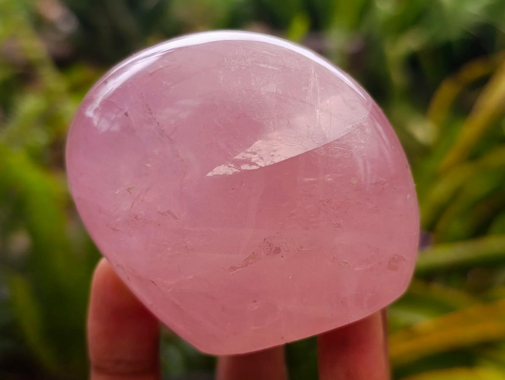Polished Gemmy Rose Quartz Standing Free Forms x 7 From Madagascar