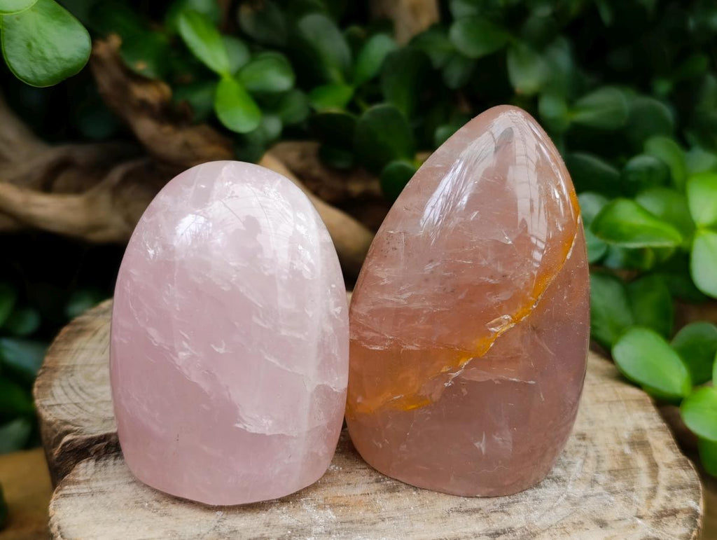 Polished Gemmy Rose Quartz Standing Free Forms x 7 From Madagascar