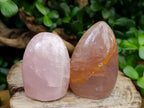 Polished Gemmy Rose Quartz Standing Free Forms x 7 From Madagascar