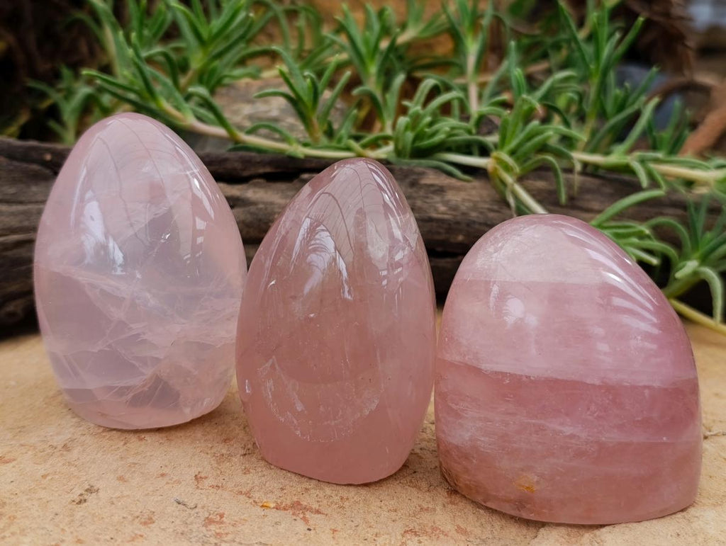 Polished Gemmy Rose Quartz Standing Free Forms x 7 From Madagascar