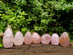 Polished Gemmy Rose Quartz Standing Free Forms x 7 From Madagascar