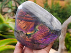 Polished Rare Purple Sunset Flash Labradorite Standing Free Forms x 2 From Madagascar